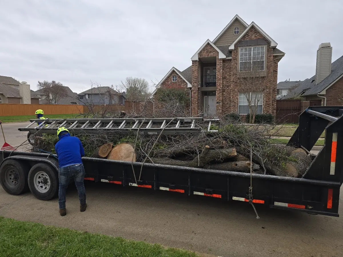 Expert Tree Fertilization with proper safety equipment in Pinckard